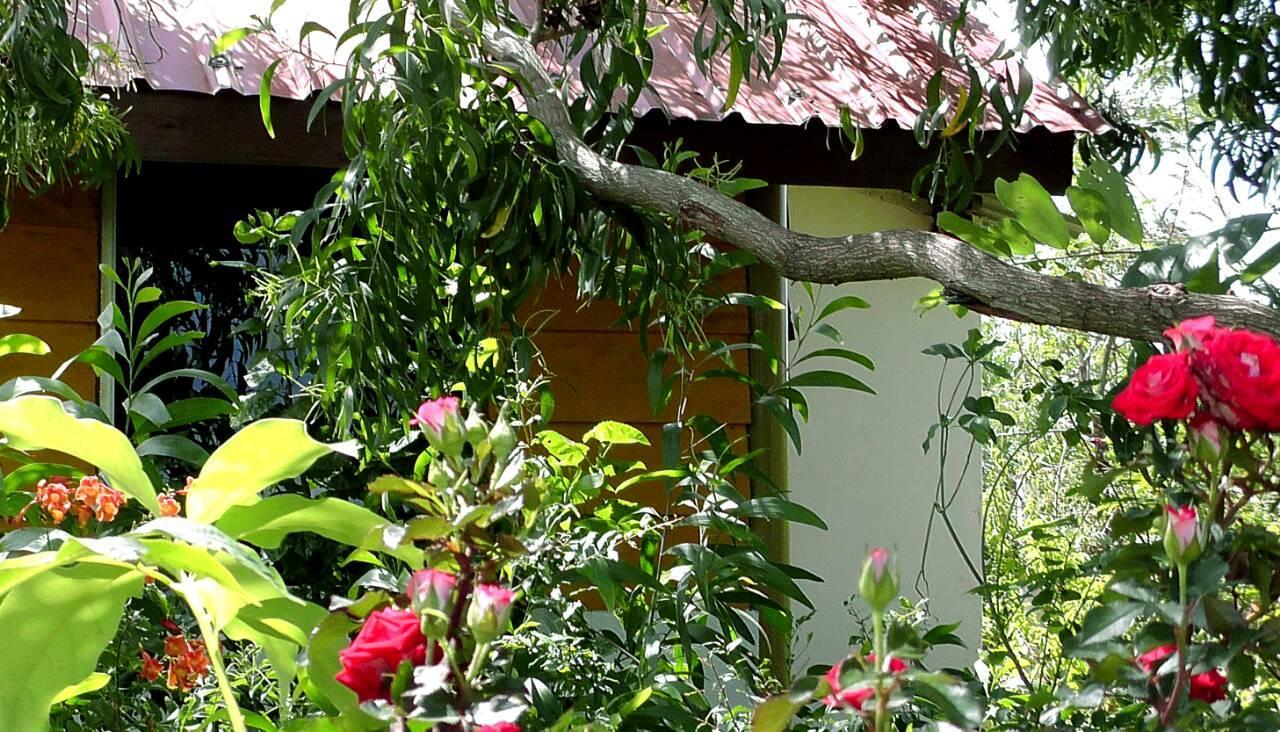 Sunntop Cabana Trincomalee Exteriör bild